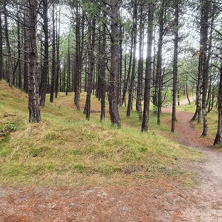 8 Person In Romo-by Traum 펜션 Kongsmark