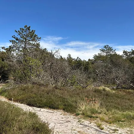 8 Person In Romo-by Traum Kongsmark