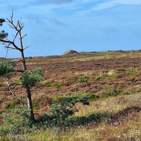 펜션 8 Person In Romo-by Traum *