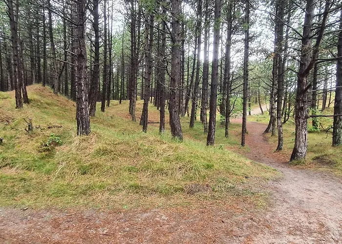 8 Person In Romo-by Traum Holiday home Kongsmark